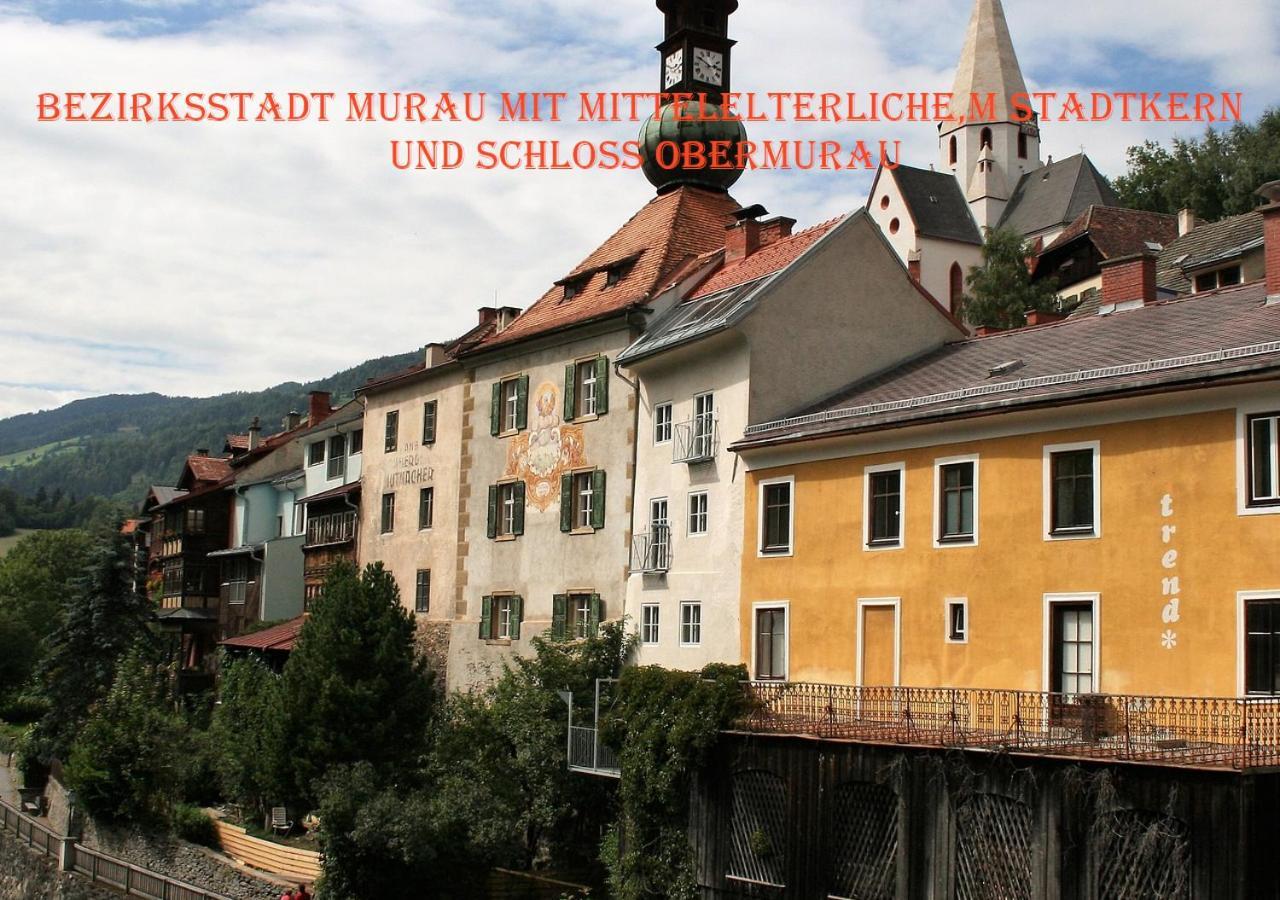 Fewo Gabi Haus Pacher Sankt Peter am Kammersberg 外观 照片